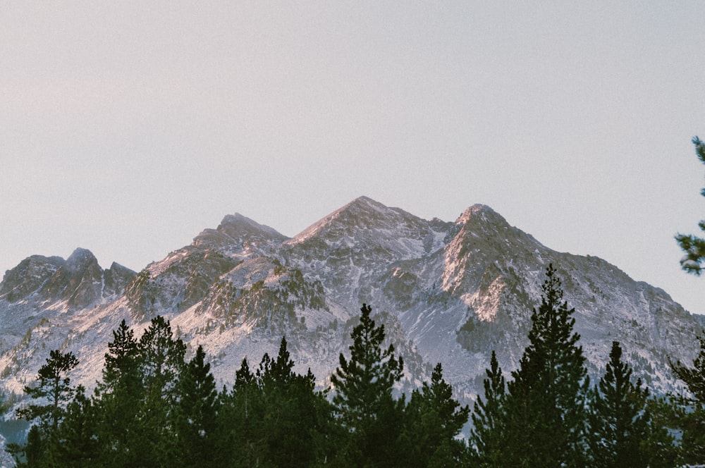 green trees near mountain during daytime