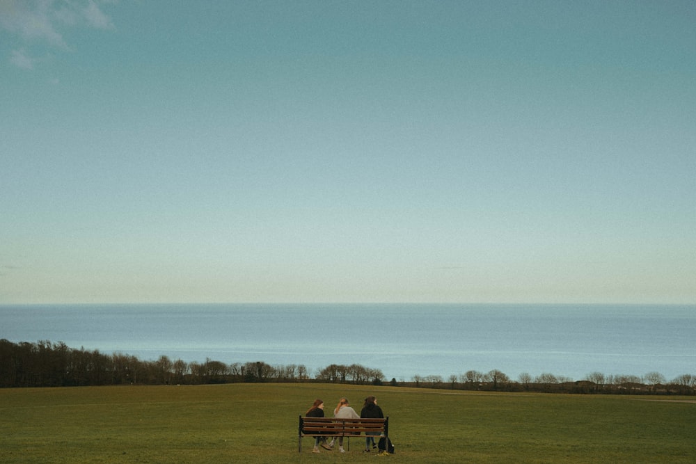 brown wooden bench on green grass field under blue sky during daytime