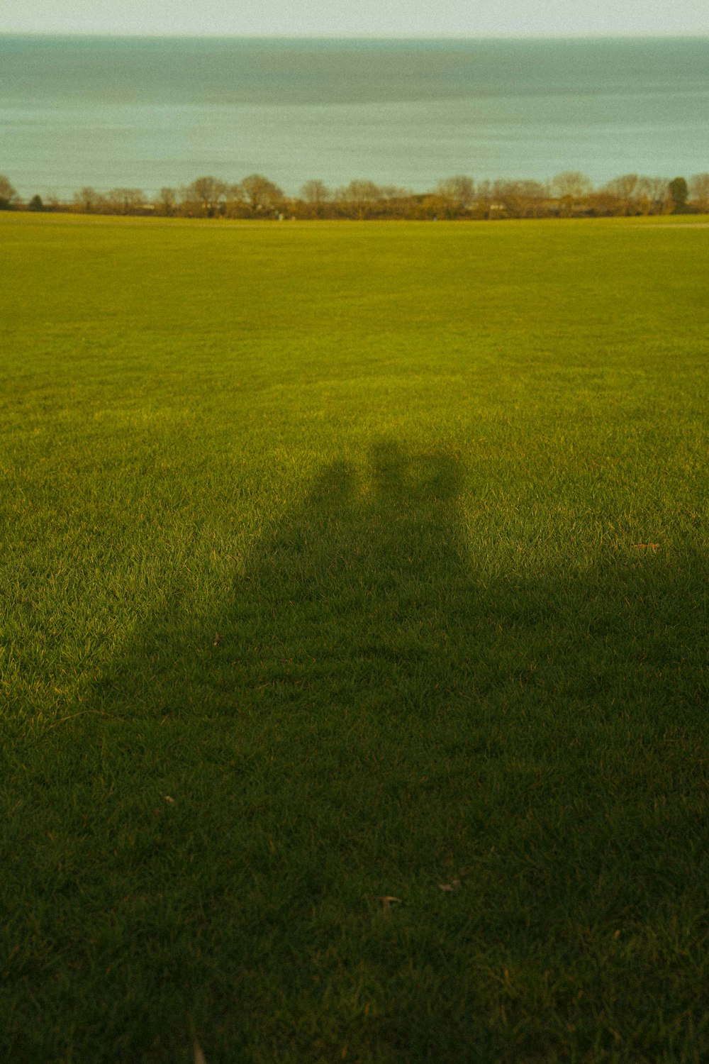 green grass field during daytime