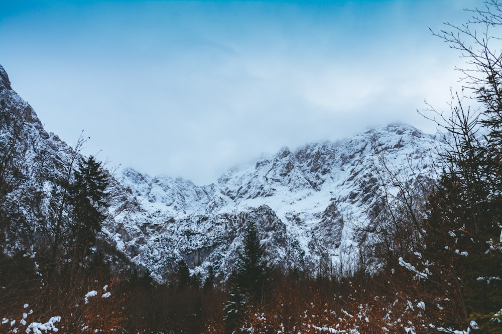 snow covered mountain during daytime