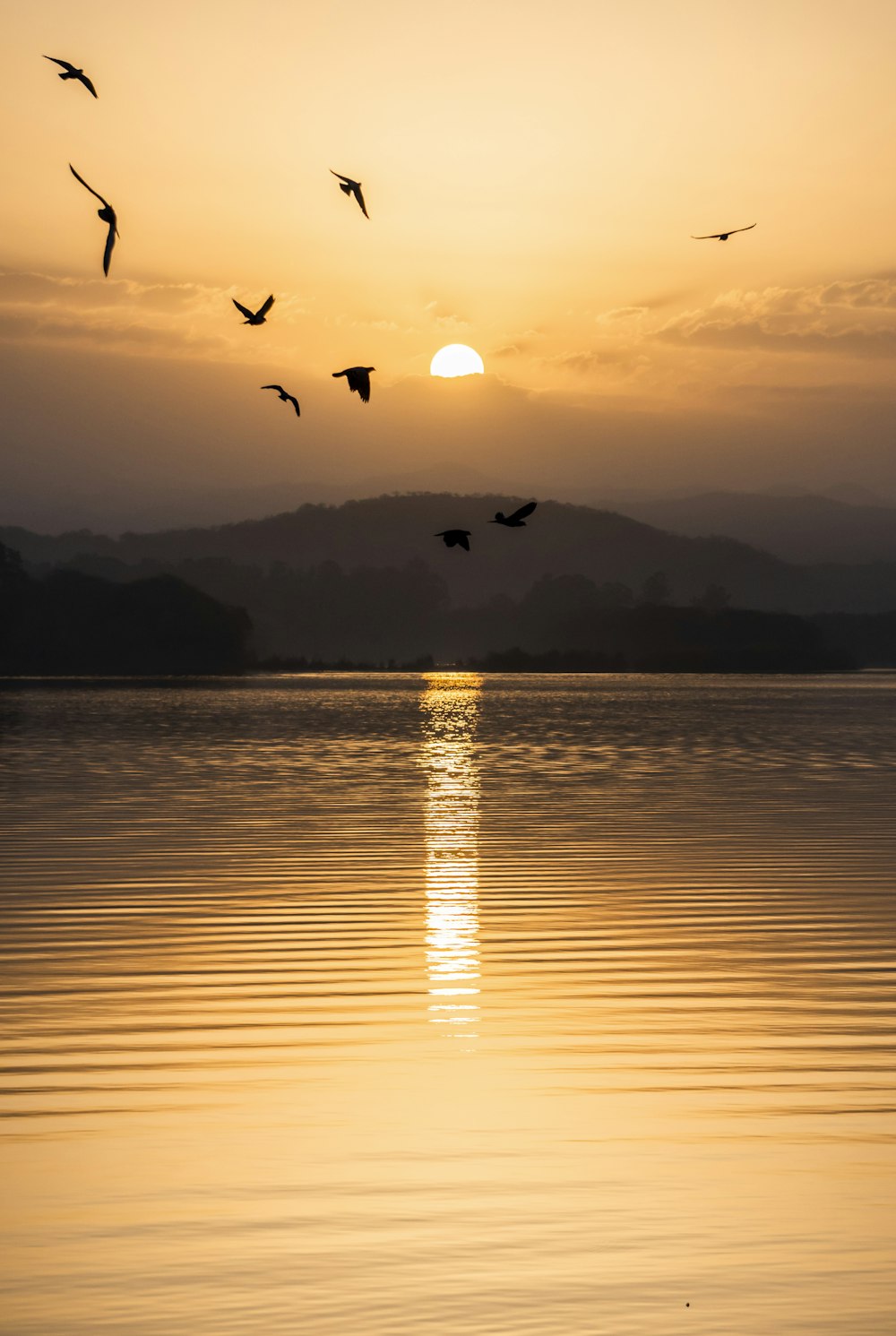 夕暮れ時に海の上を飛ぶ鳥たち