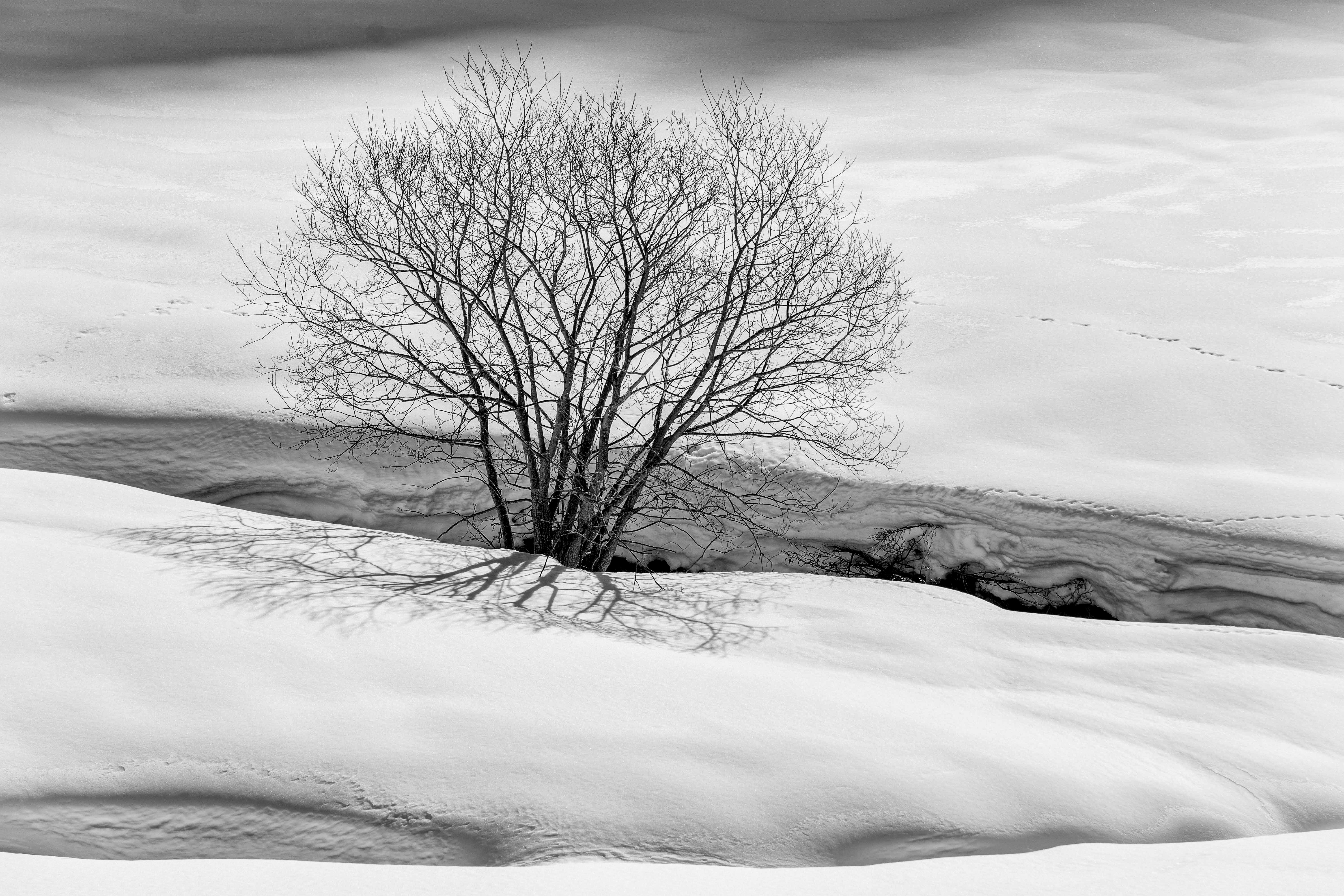 Photo by andreaskyrider