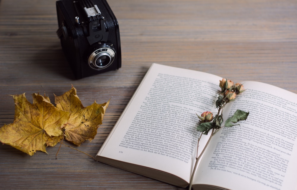 yellow maple leaf on book page