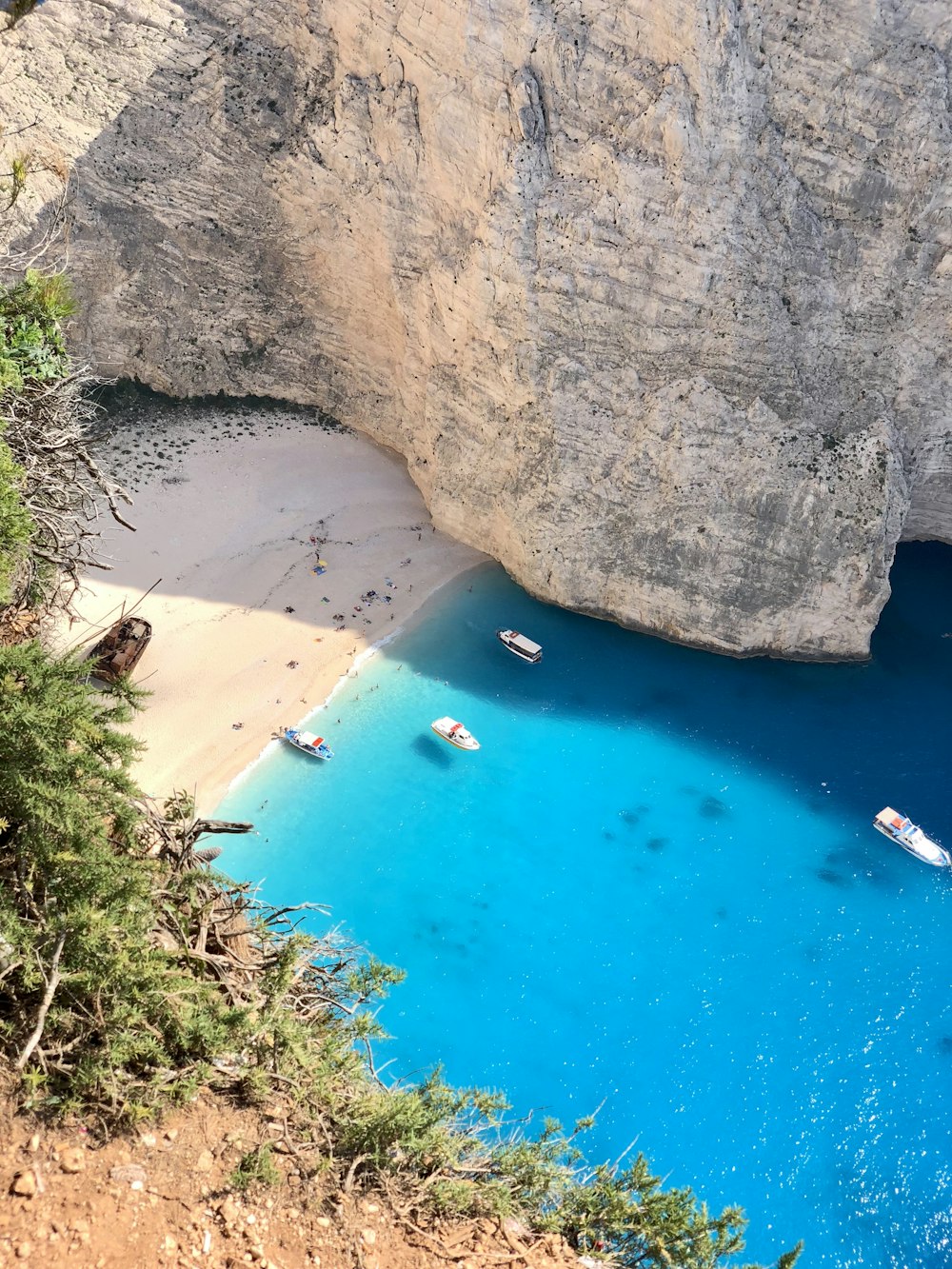 people on beach during daytime