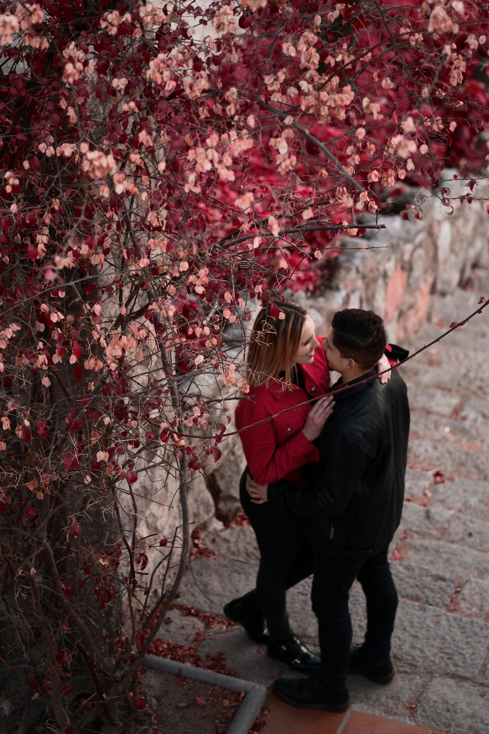 man and woman standing under cherry blossom tree during daytime