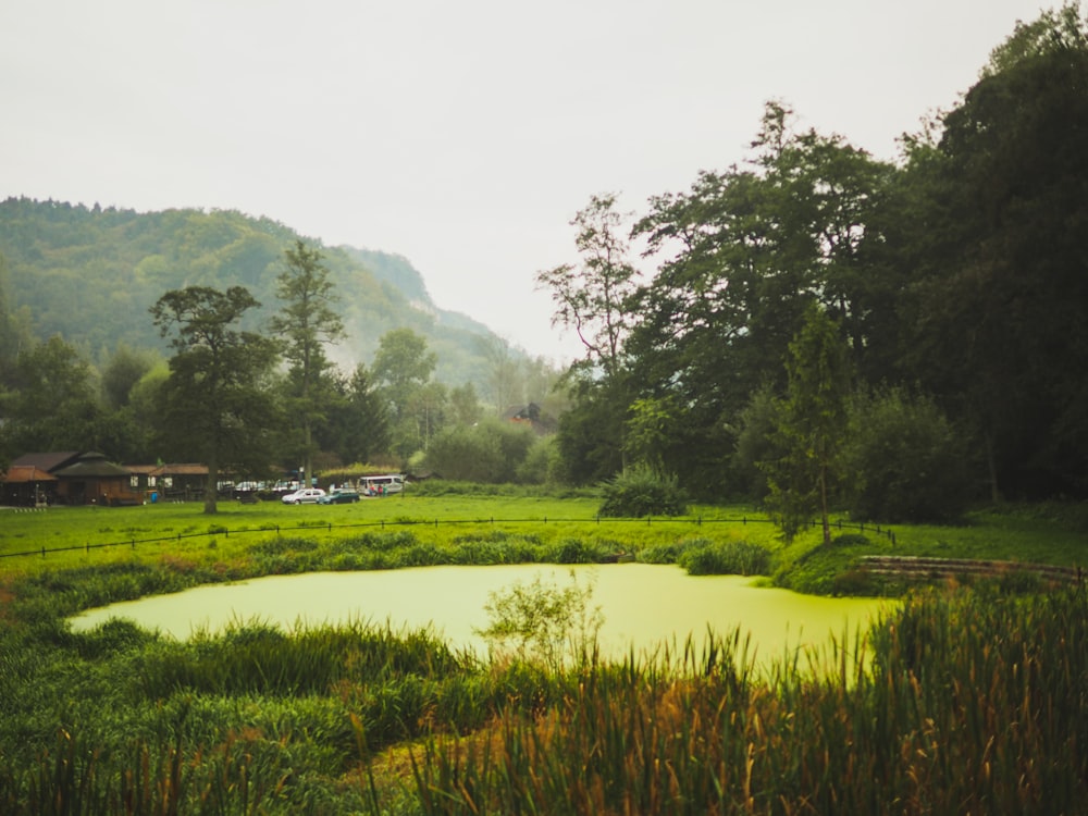 green grass field near lake during daytime