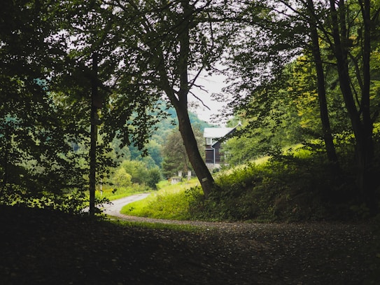A serene forest path with dense, overhanging trees creating a natural arch. In the background, a quaint house with a light-colored roof is partially visible, surrounded by lush greenery. The scene is peaceful and softly lit, suggesting a calm, secluded setting.