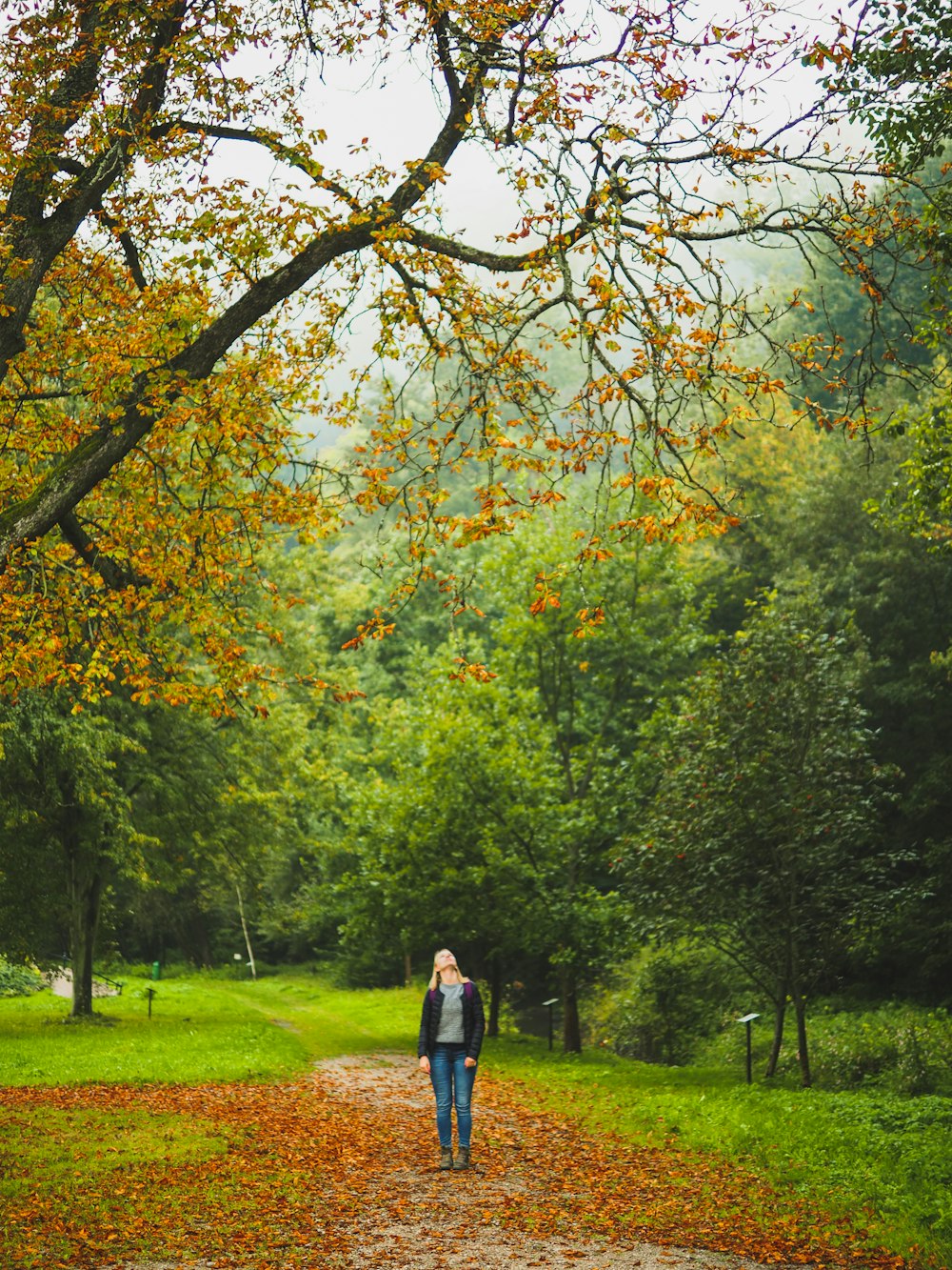 woman in black jacket standing on green grass field surrounded by green trees during daytime