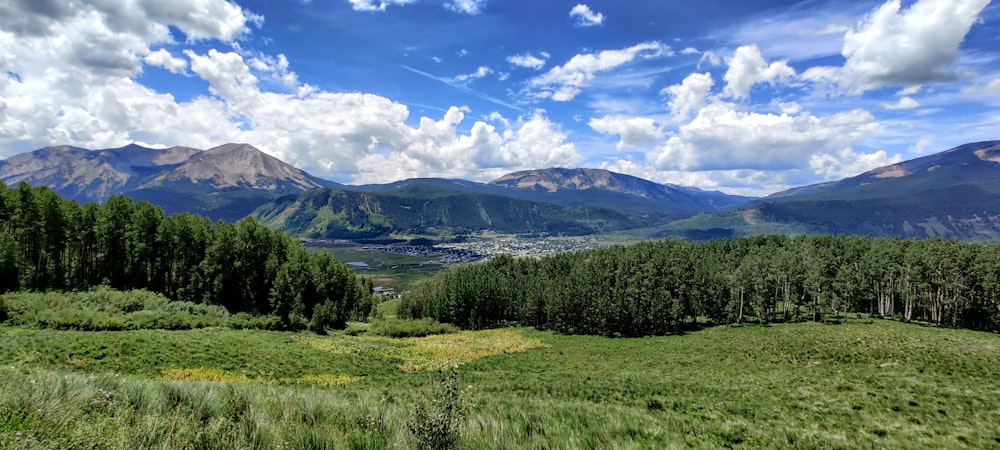 green trees and mountains under blue sky and white clouds during daytime