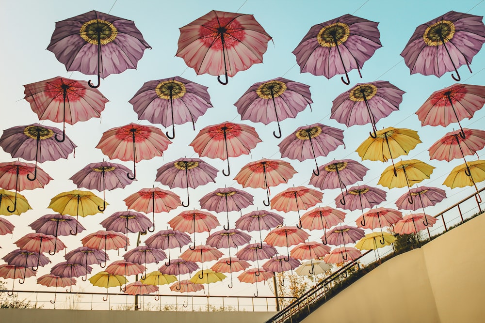 pink umbrellas hanging on white metal fence