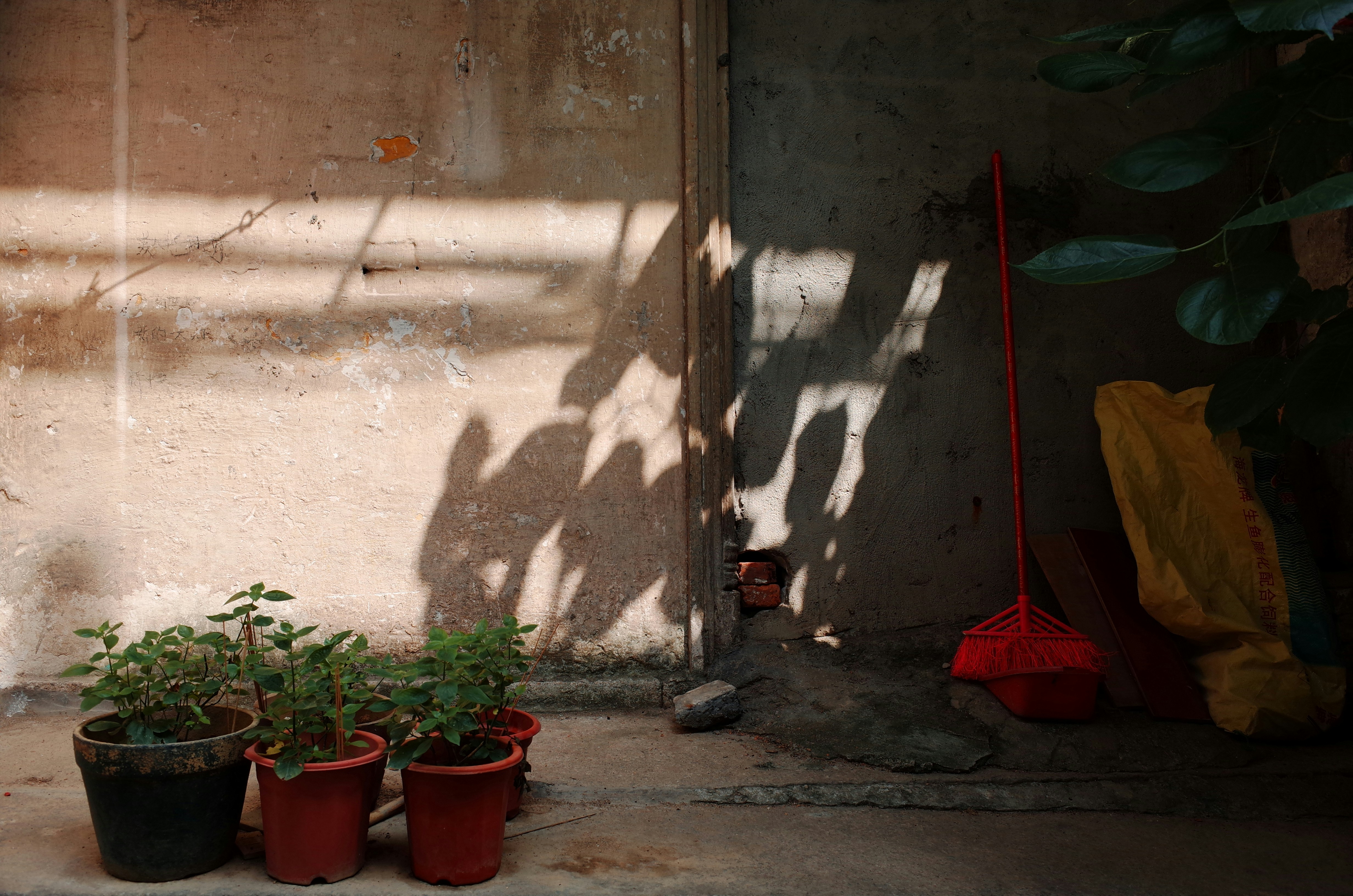 Photo by bluepikachu