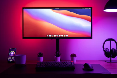 LED Monitor