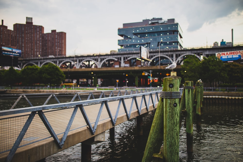 bridge over river near city buildings during daytime