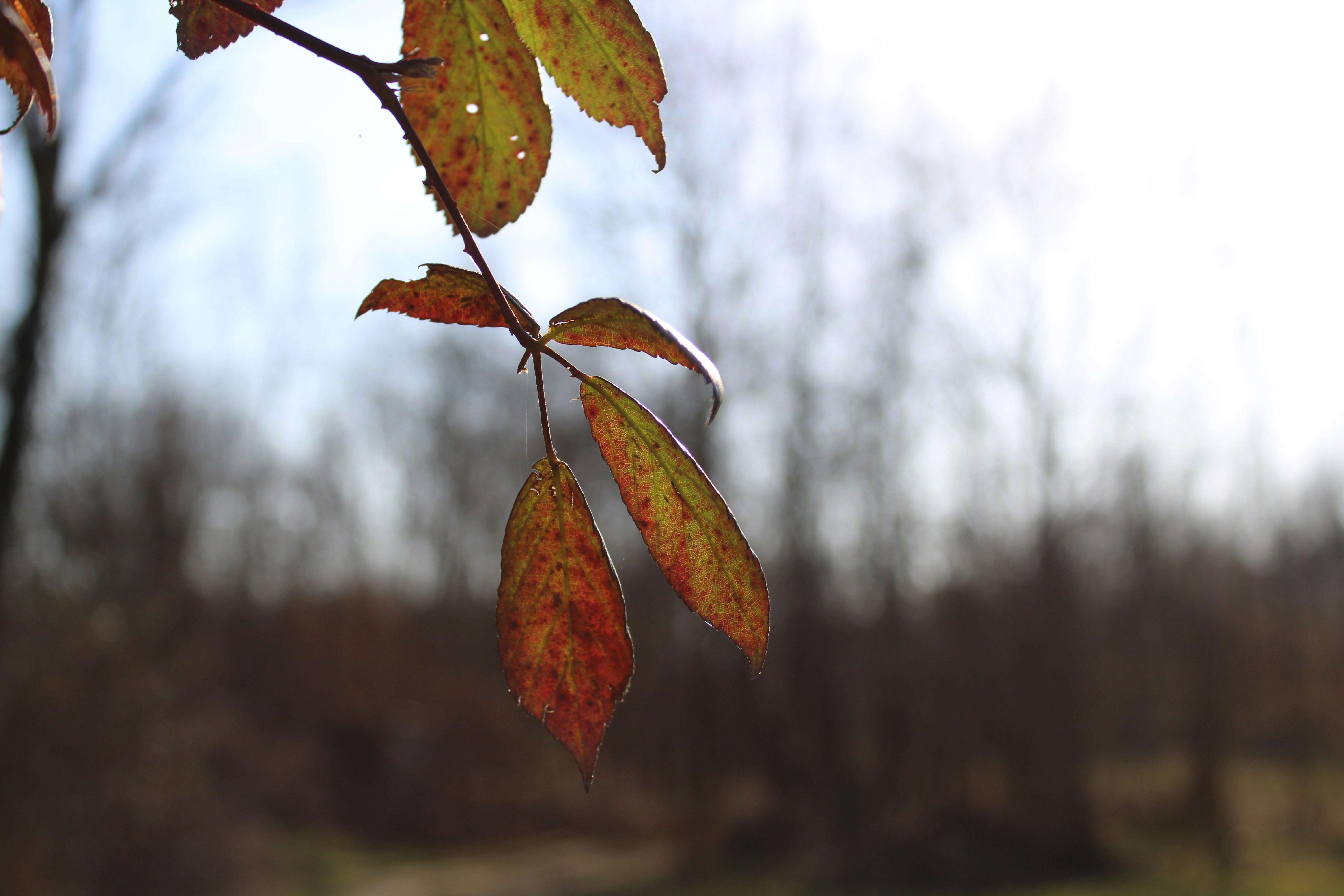 Photo by cippicippiphoto