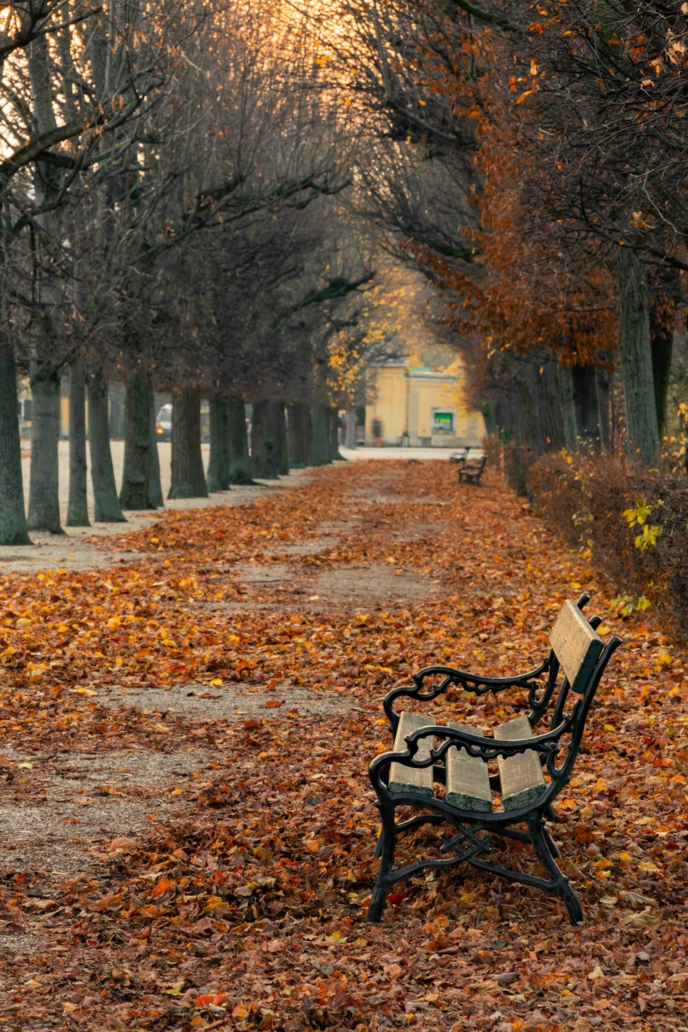 banc en bois brun sur fond recouvert de feuilles brunes