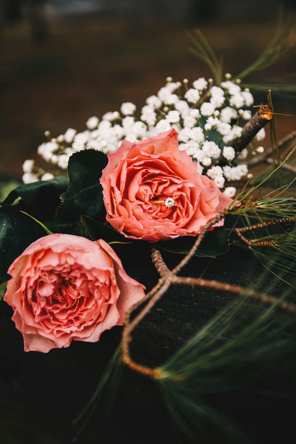 red roses on brown wooden surface