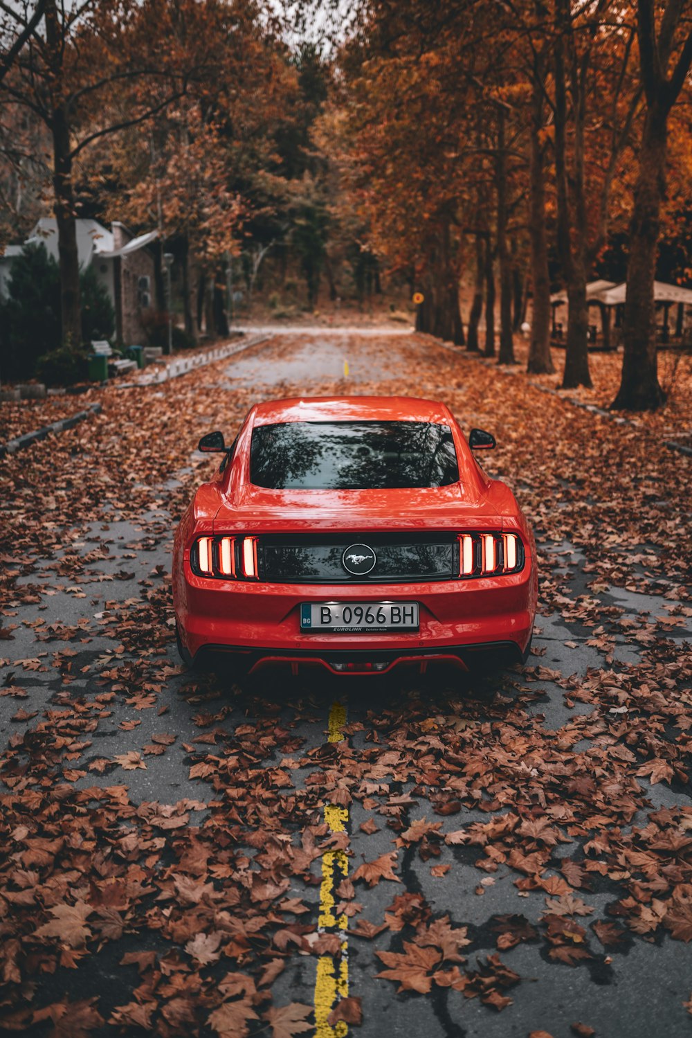 red bmw m 3 parked on road