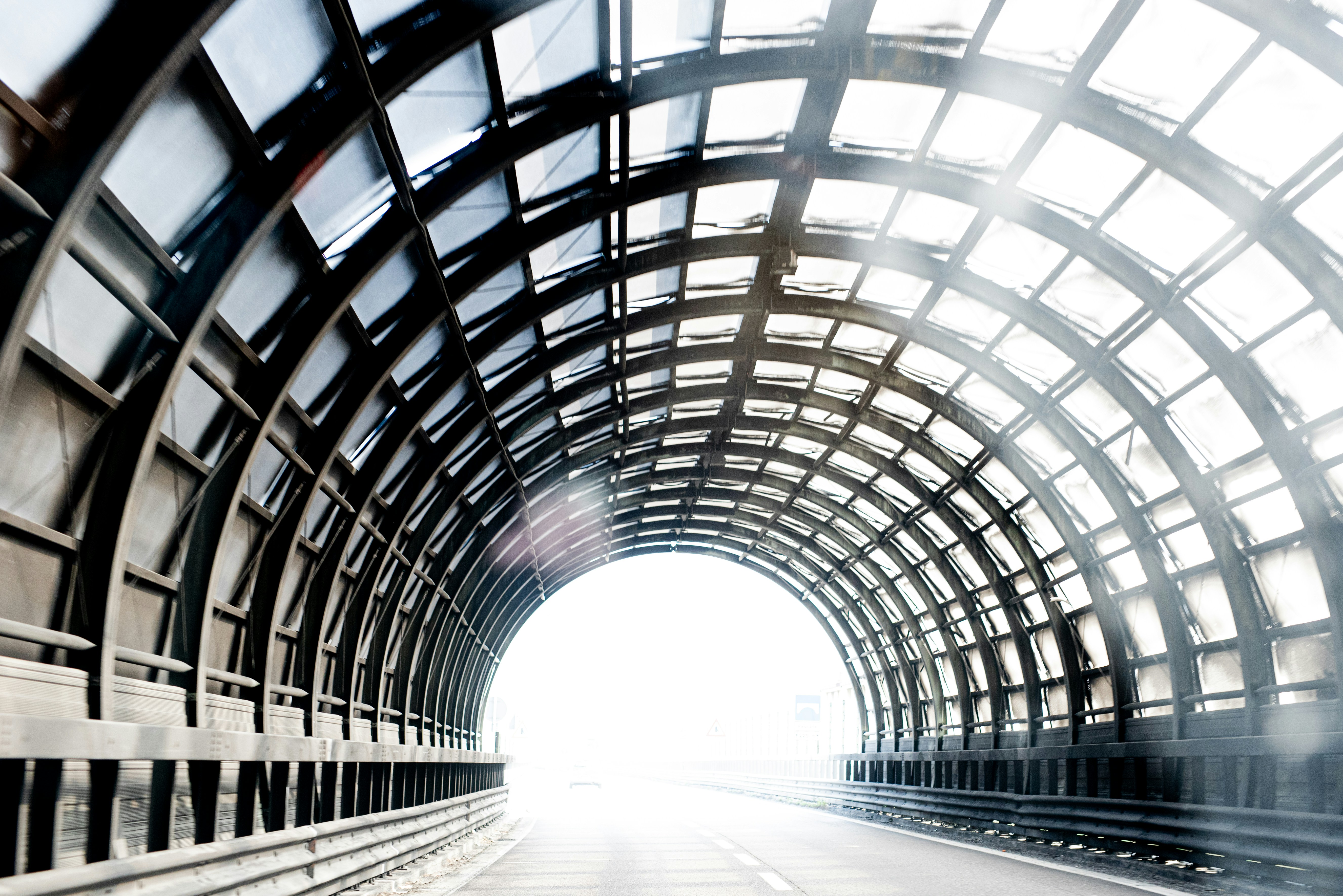 Photo by lauraadaiphoto