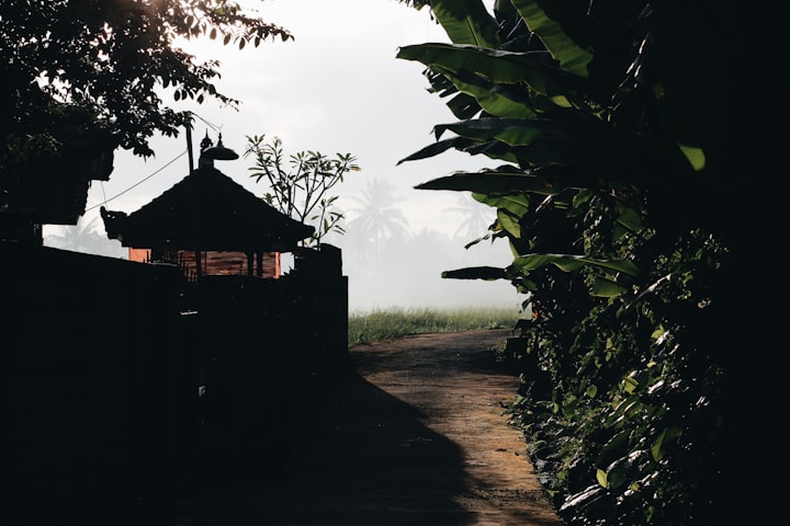 An early morning walk in a Balinese village