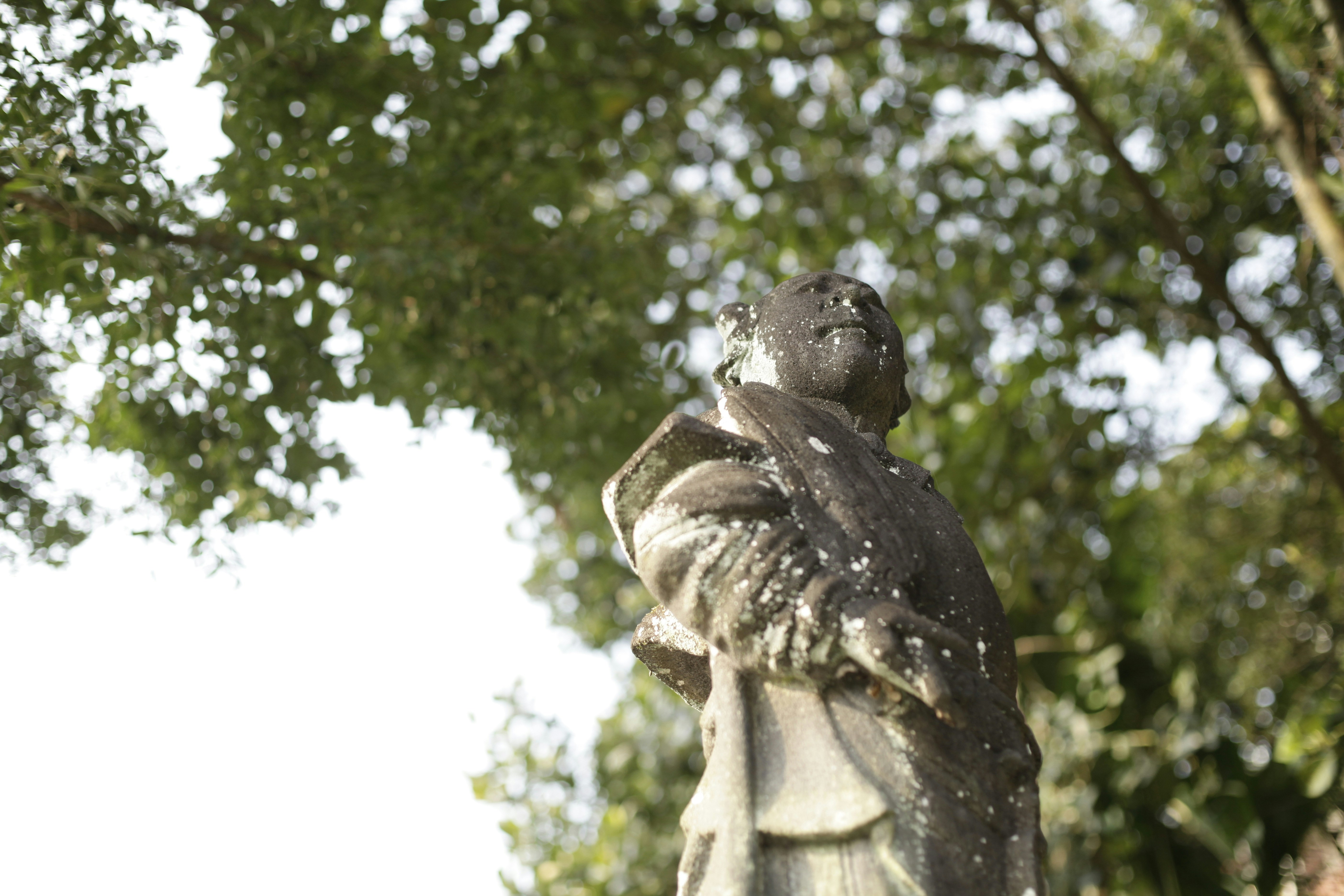 man in hat statue near green trees during daytime