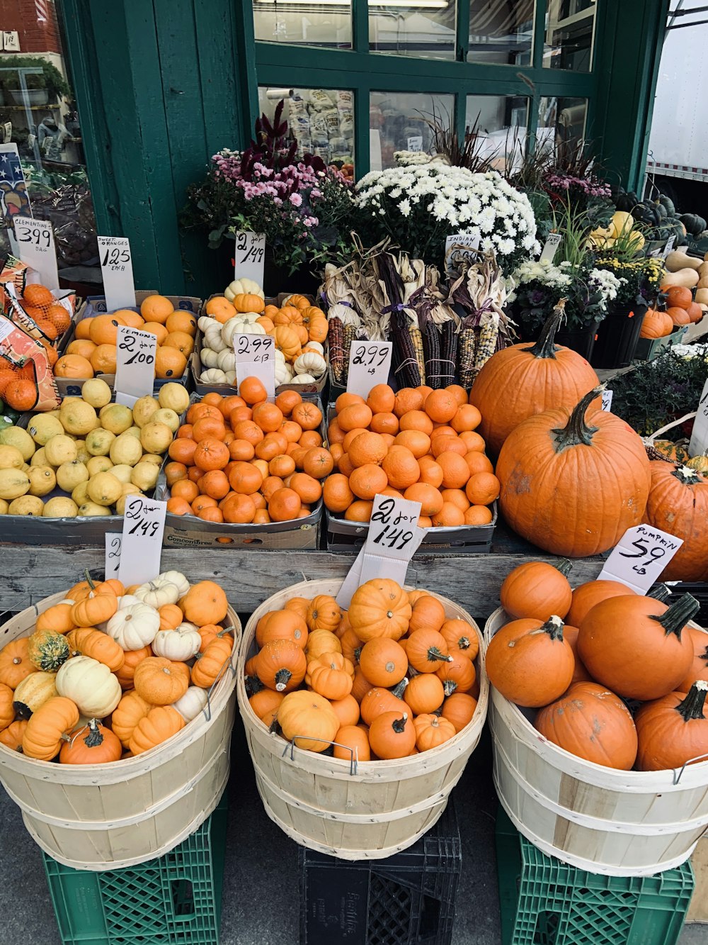 frutas alaranjadas no balde plástico branco