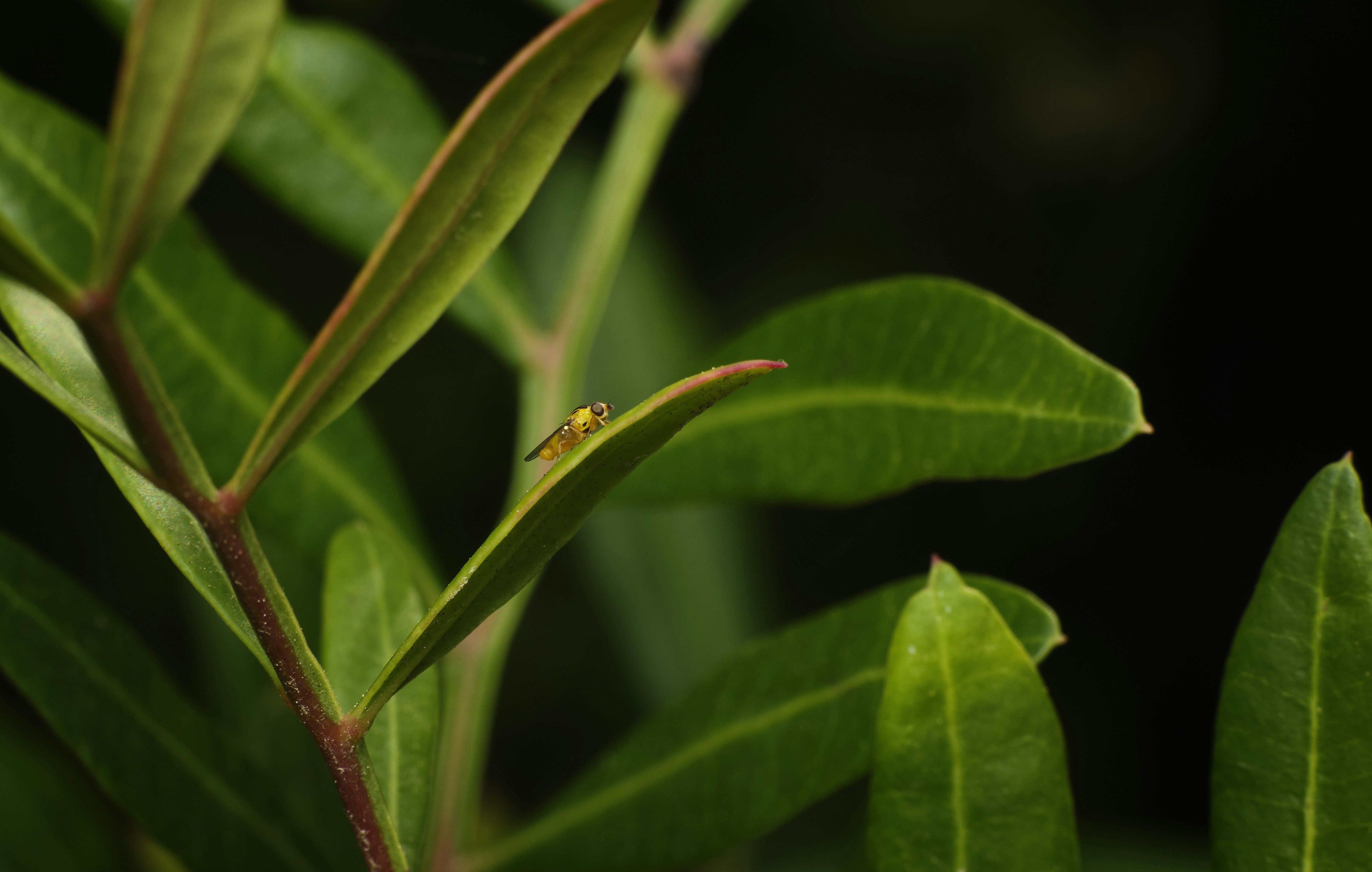 Photo by victor_vector