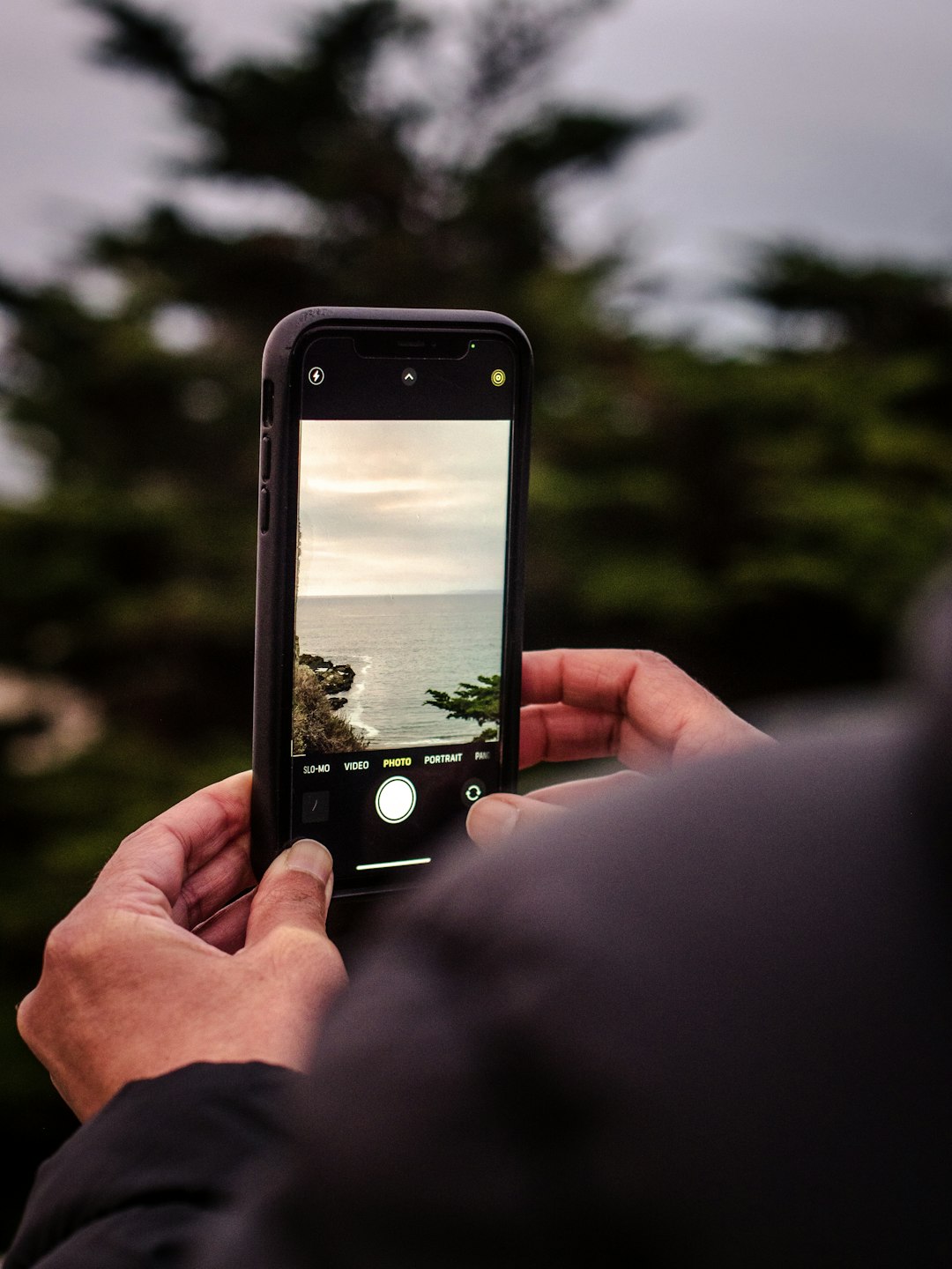 person holding iphone taking photo of trees during daytime