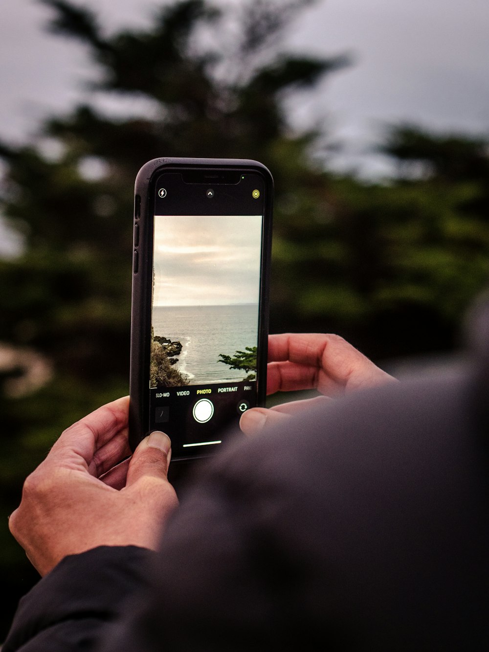Persona sosteniendo el iPhone tomando fotos de árboles durante el día