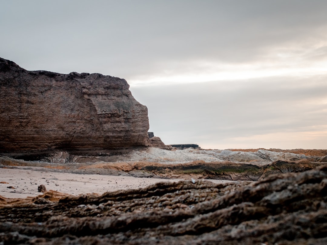 brown rock formation on the beach during daytime