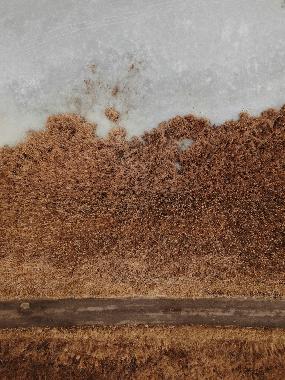 brown grass on white sand