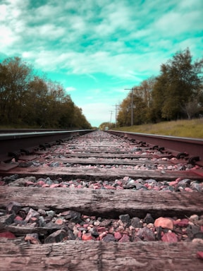 perspective and angle for photo composition,how to photograph train tracks on a sunny day with a clear sky.; pink petals on train rail
