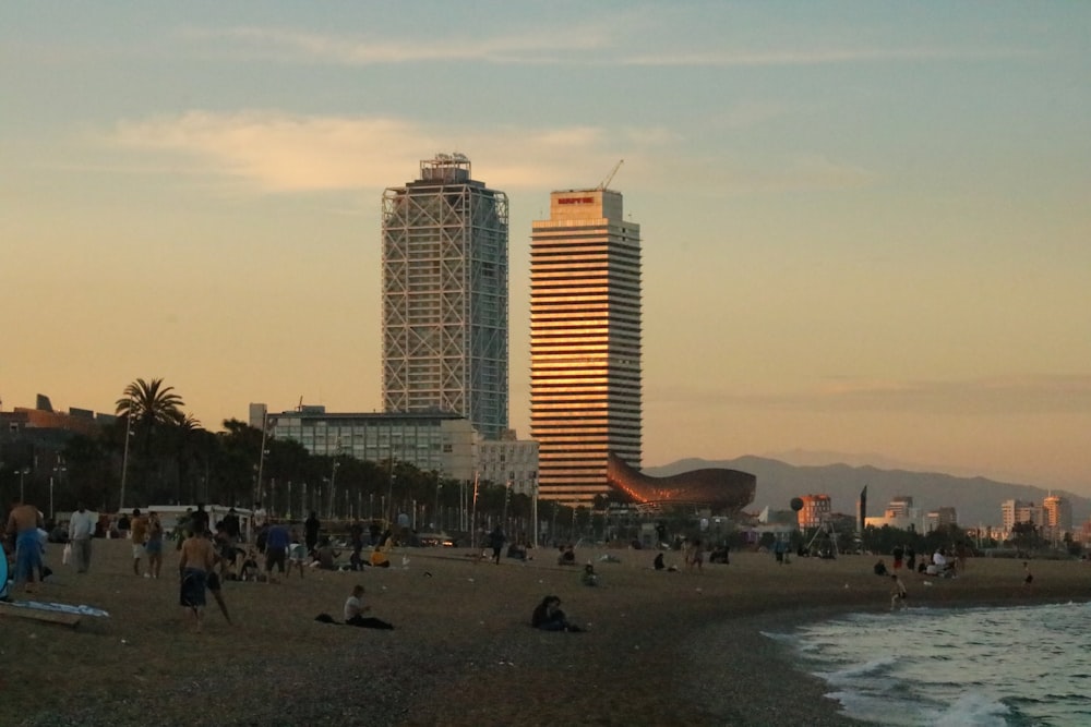 people on beach during daytime