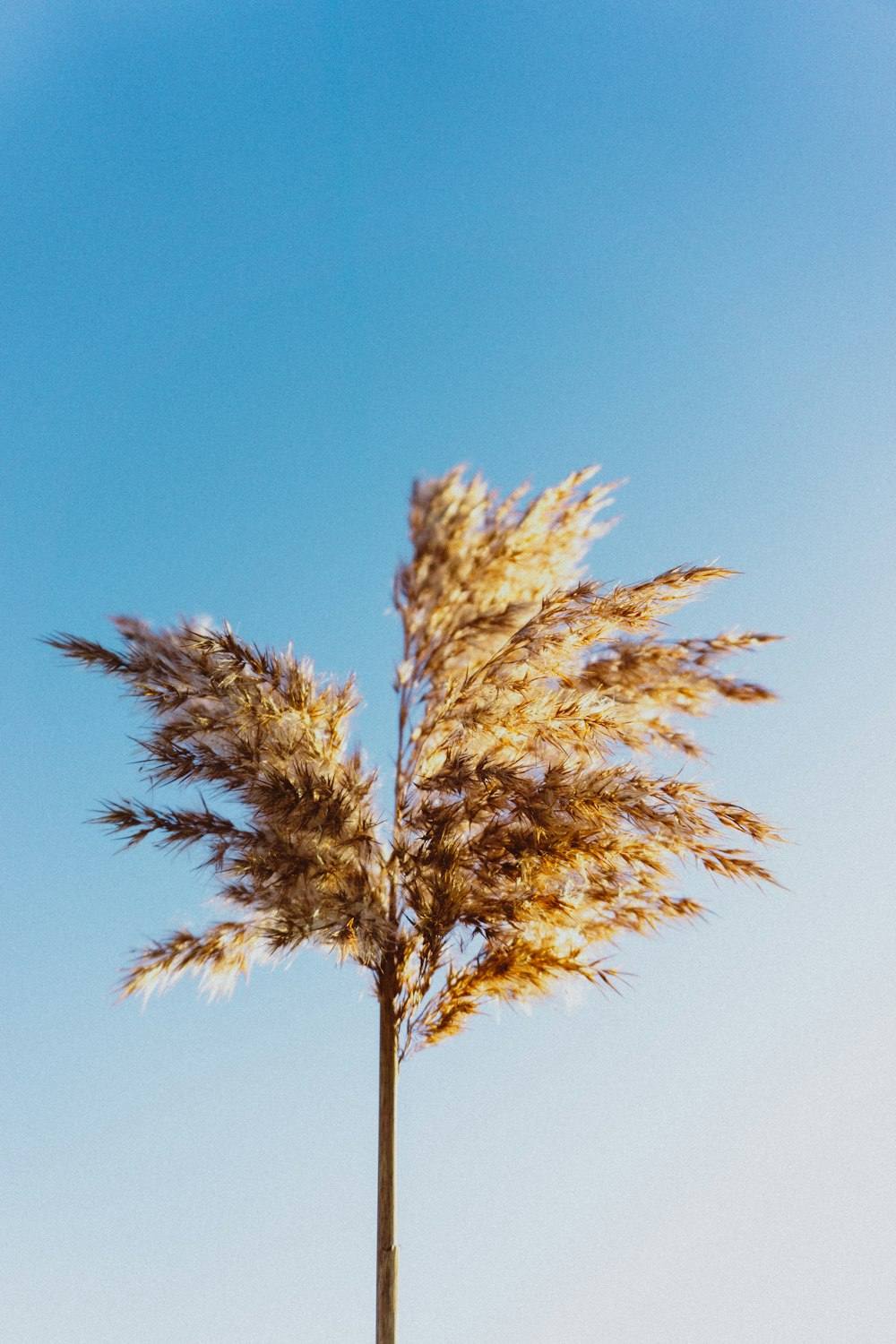 green tree under blue sky during daytime