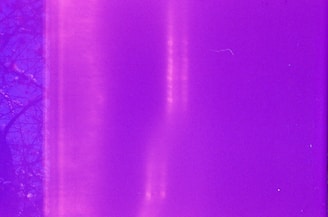 purple textile with black line