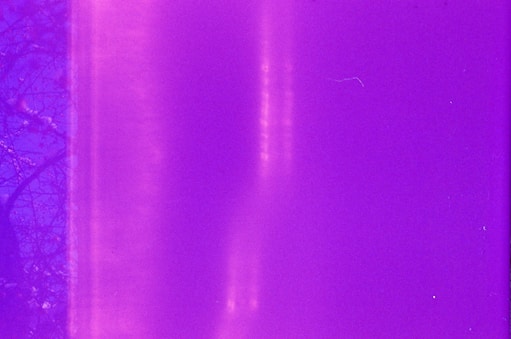 purple textile with black line