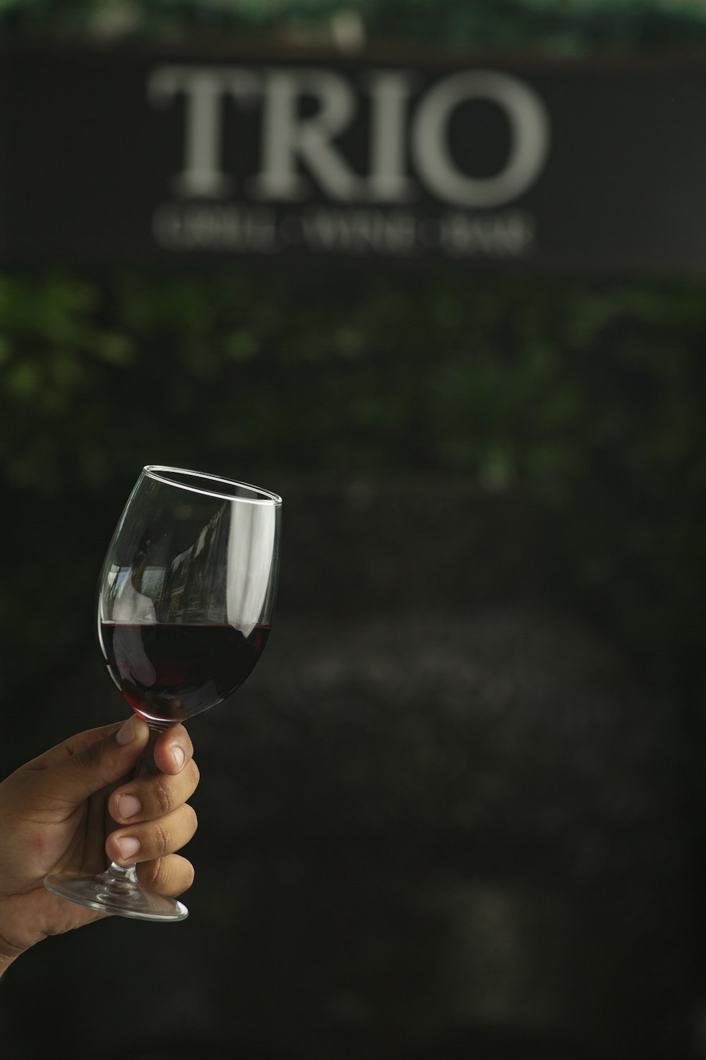 person holding clear wine glass with red wine