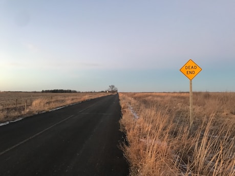 black asphalt road between brown grass field during daytime