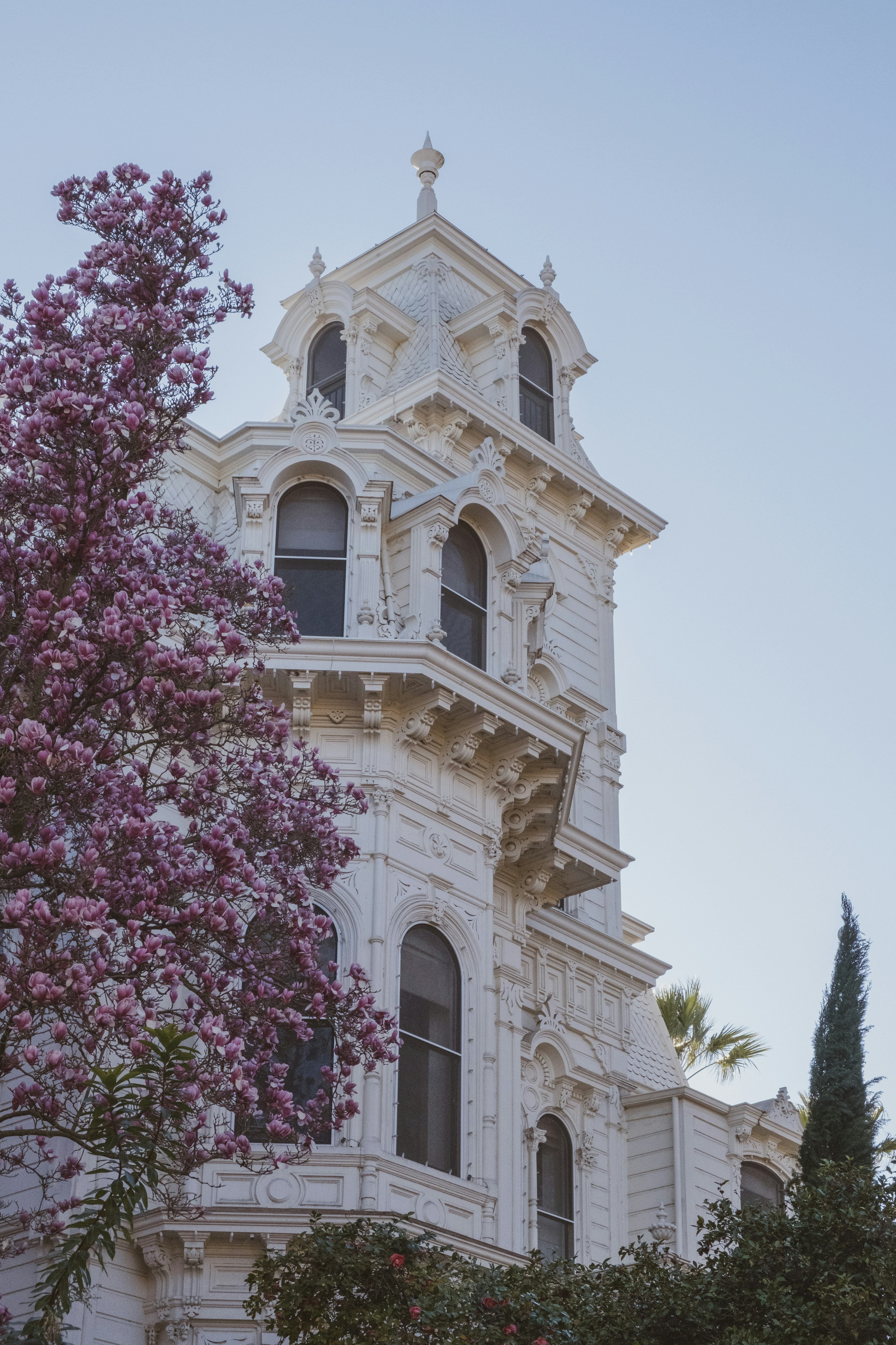 Photo by parsoakhorsand