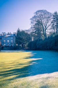 A serene landscape features a large, open grassy area partially covered in shade, with shadows cast by tall trees on one side. In the background, there is an elegant, classic building with a simple rectangular structure. Tall, leafless trees and evergreens border the lawn area, creating a natural frame.