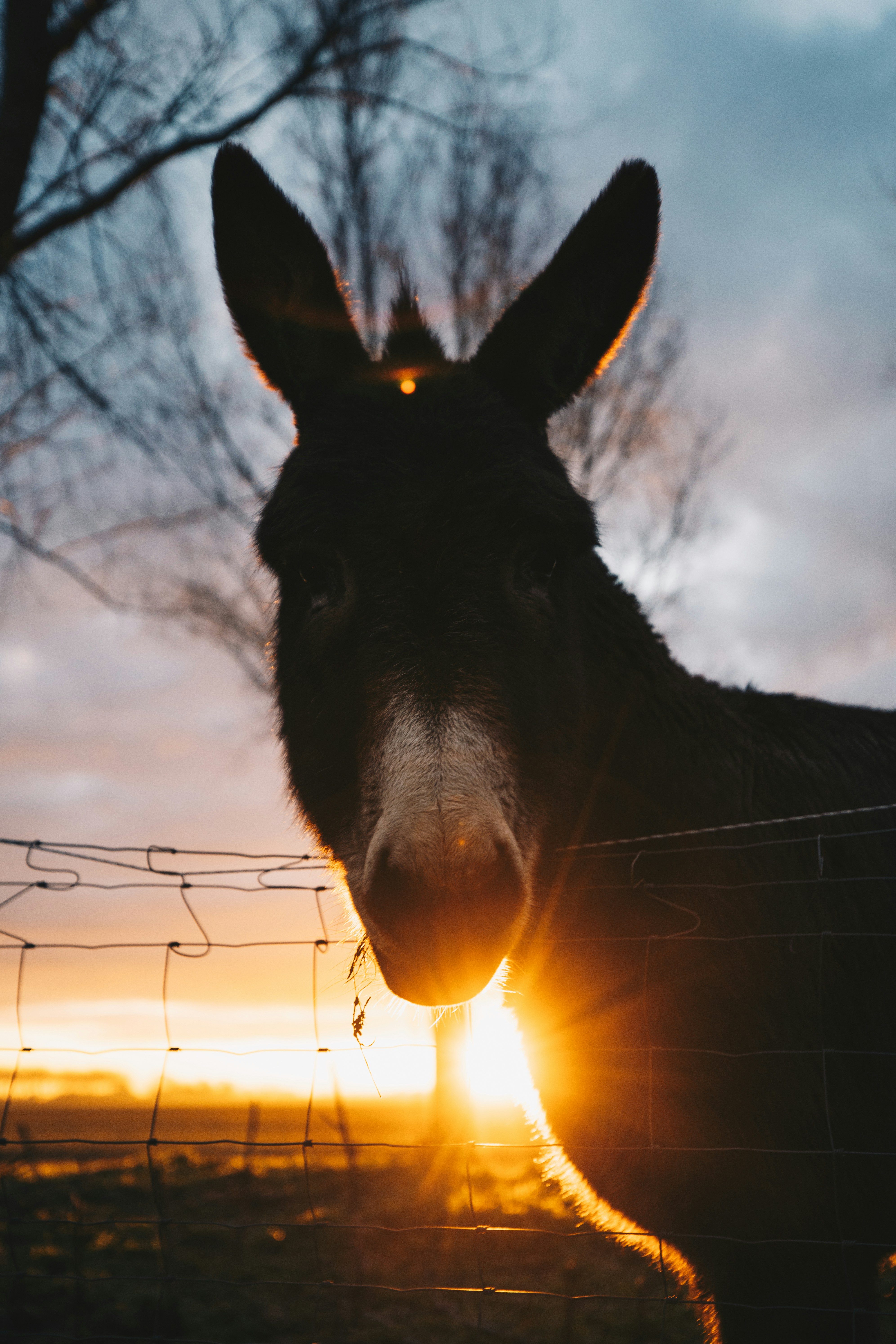 Photo by lorenzohamers