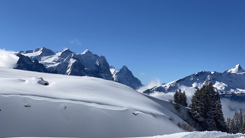 snow covered mountain under blue sky during daytime