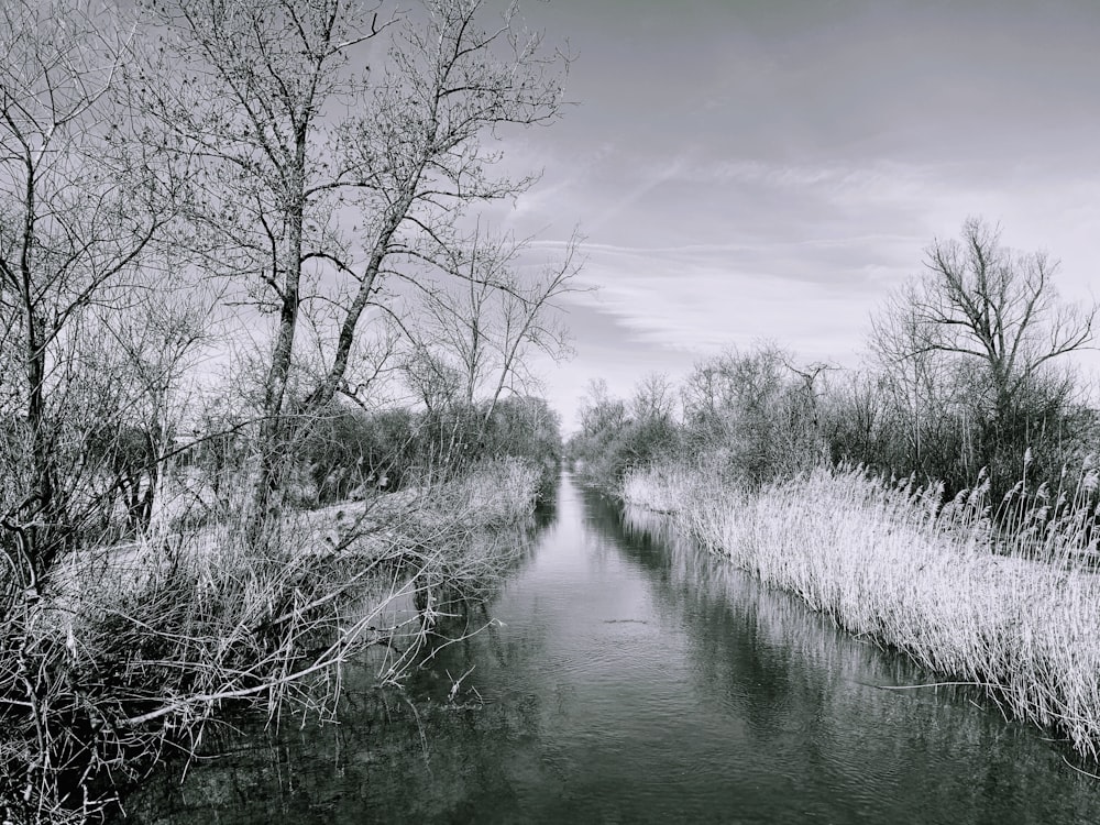 Blattlose Bäume am Fluss unter bewölktem Himmel