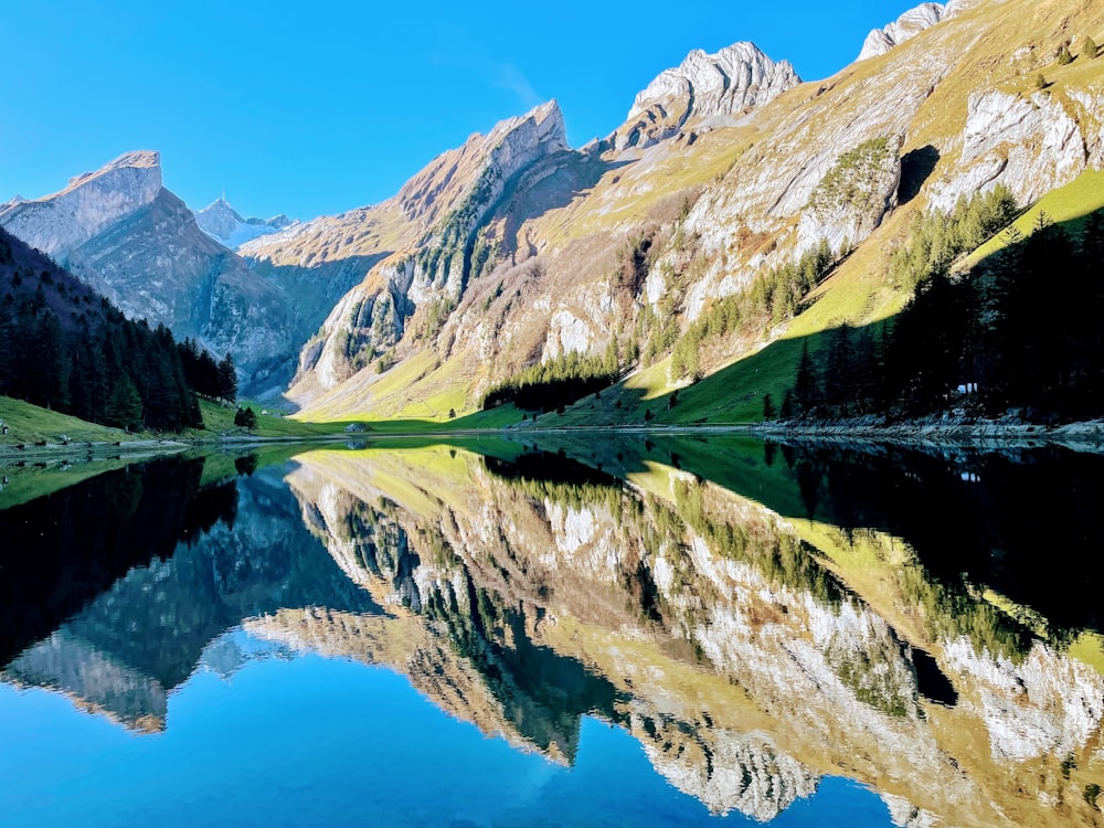 grüner und brauner Berg am See tagsüber