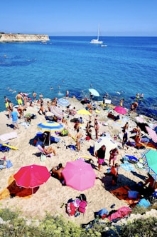 people on beach during daytime