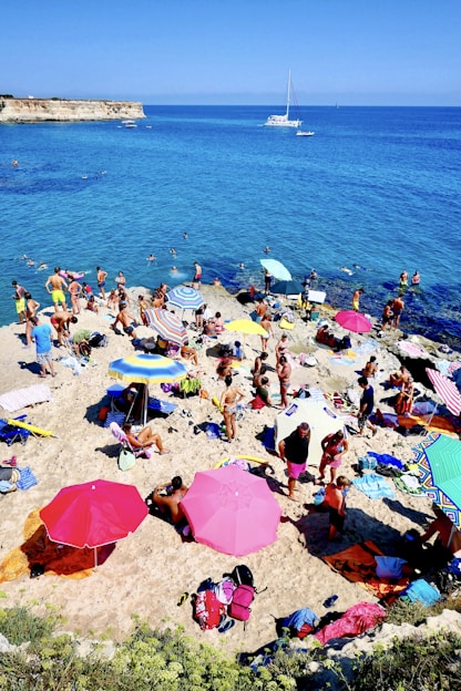 people on beach during daytime