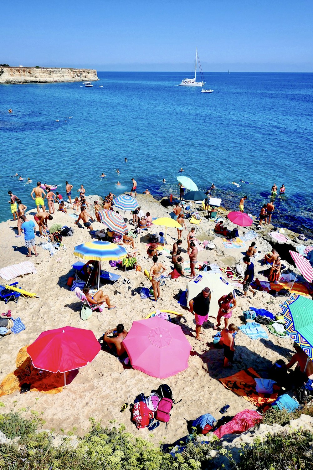 people on beach during daytime