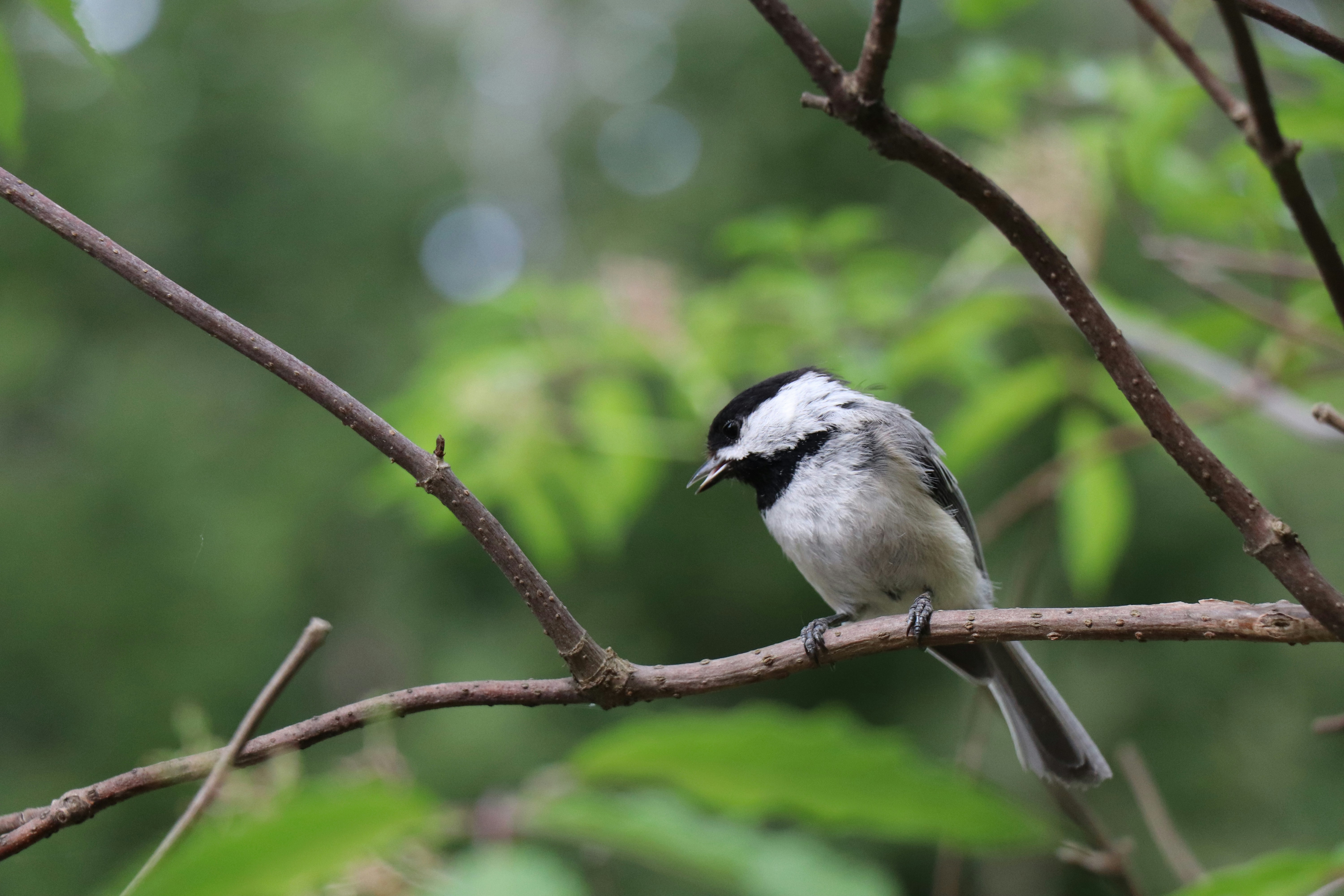 Photo by sandimagerart