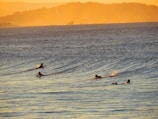 A group of happy students paddling out together on surfboards.