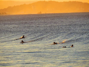 A group of friends enjoying paddleboarding at sunset along a calm coastline.
