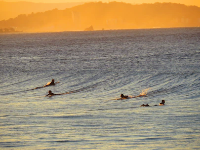 A group of friends enjoying paddleboarding at sunset along a calm coastline.
